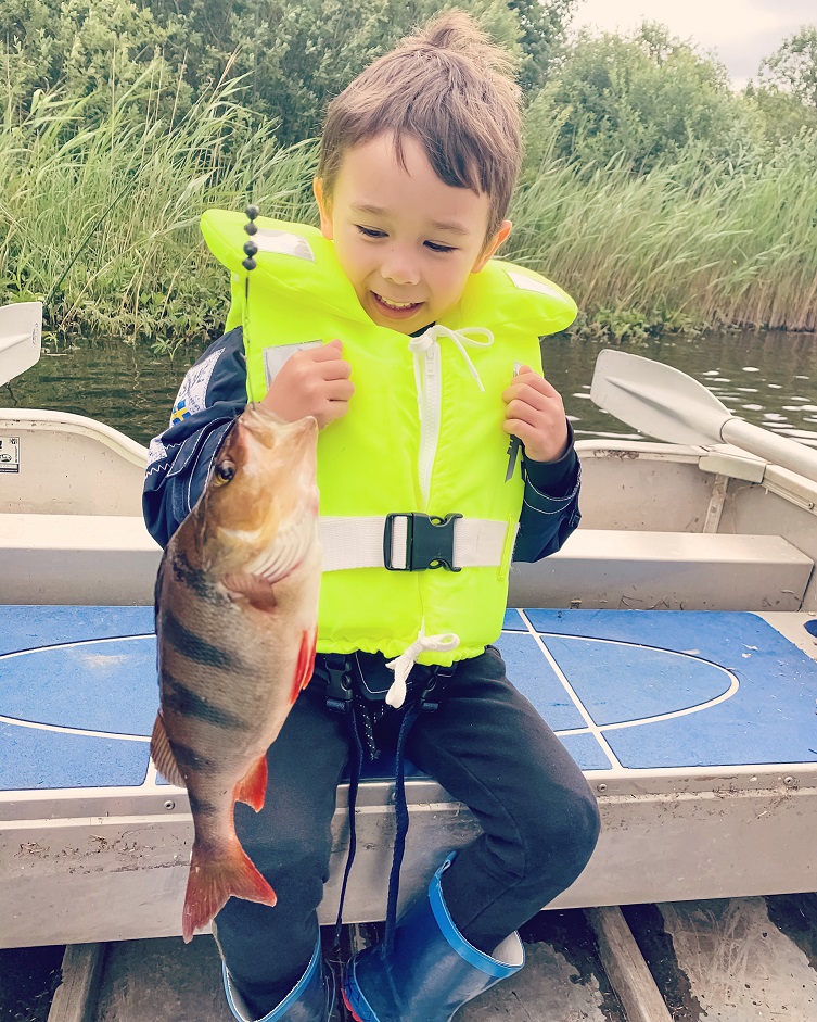 Fiskepaket-abborre