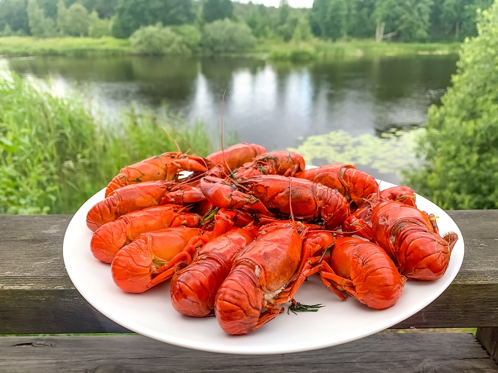 Kraftfiskepaket-kraftor